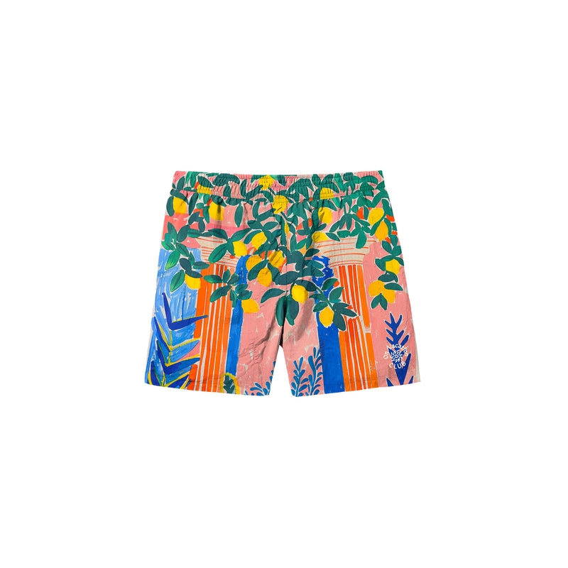 Santorini Swim Shorts - Multi